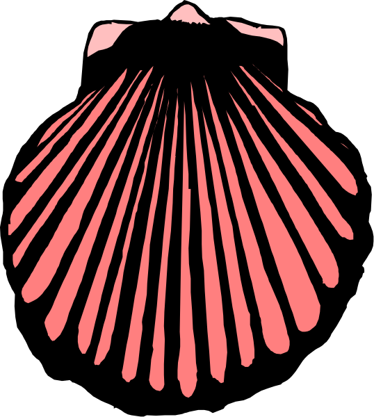 The image shows a closeup of an open seashell with pink interior against black background.