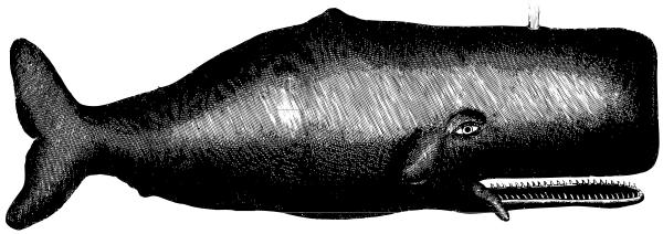 The image shows a black and white photo of an old television set with static on its screen displaying what appears to be a shark fin atop water waves in motion.
