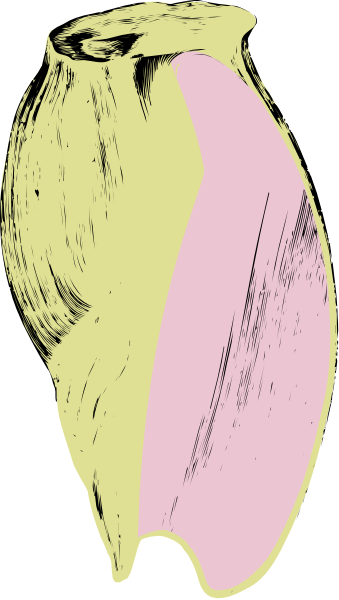 The image shows a vase with two distinct color sections: pink on top half and yellow at bottom.