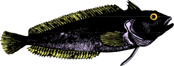 The image shows a stylized depiction of an aquatic creature with sharp teeth that resembles a shark in profile view against a dark background.