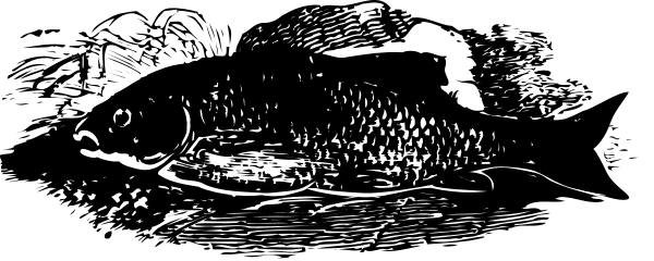 The image shows a fish with its mouth open against an abstract background that resembles water ripples.