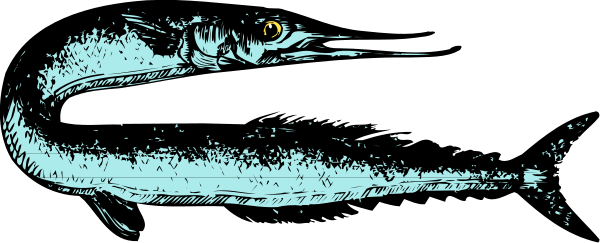 The image shows a cartoon of an alligator with its mouth open wide against a black background.