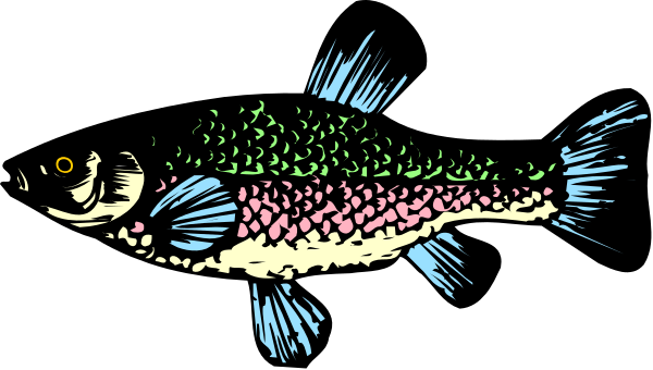 The image shows a stylized fish with blue fins swimming near an aquatic plant underwater.