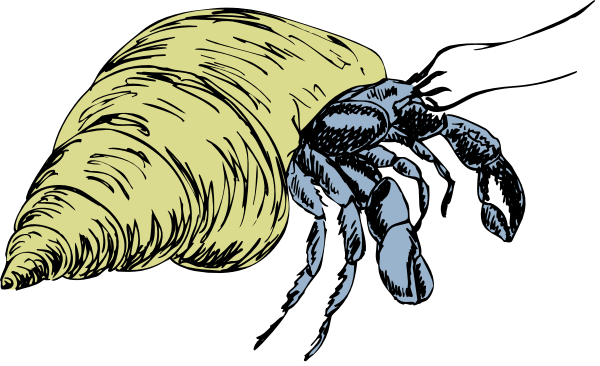 The image shows two snails with a shell on their back against a black background.