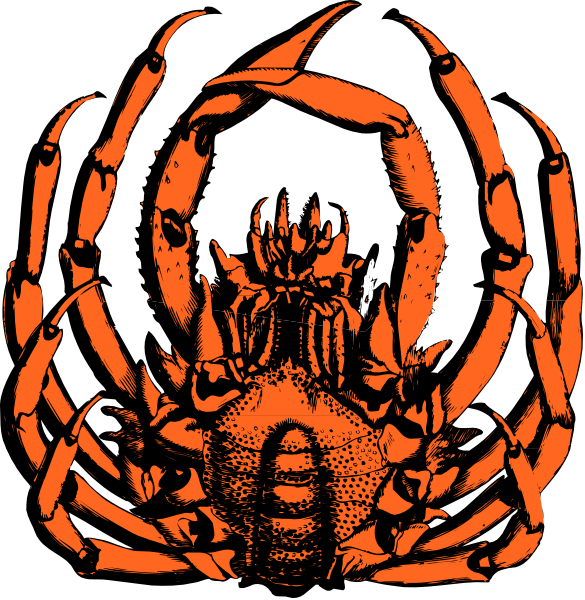 The images show a red crab with its claws open against two different backgrounds: black for the left side of image 1 and white for both sides of image 2. There is no text present in either picture, which focuses on presenting an illustration without any additional context or elements beyond what has been described above. The style appears to be a simple graphic with bold colors highlighting the crab's features against its respective background. No actions are depicted; it seems like a static image meant for decorative purposes rather than depicting movement or interaction between objects, people, animals