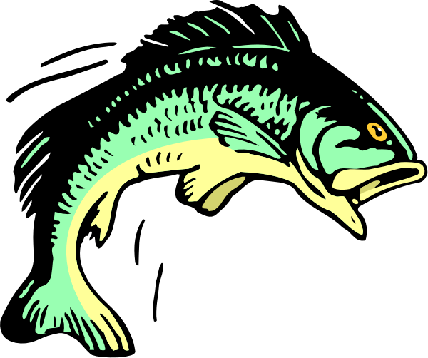 The image shows a cartoon of an anglerfish with glowing eyes swimming towards its prey underwater at nighttime in front of a dark background.