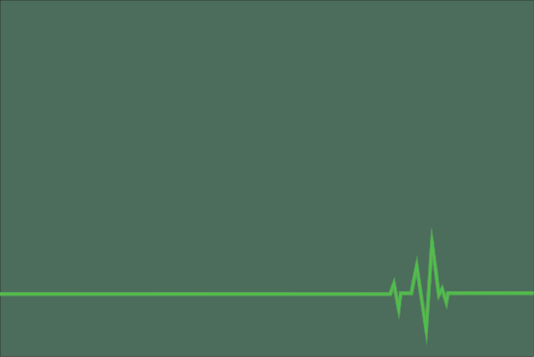 The image shows a green heartbeat line on an ECG monitor with no other visible elements such as numbers or labels indicating any medical condition.