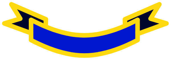 The image shows a blue logo with white text on it that reads "NFL" inside an oval shape outlined by two lines forming a shield-like design above it.
