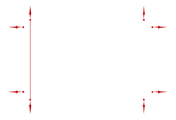 The image shows a black and white graphic of an abstract design with red lines indicating points on it.