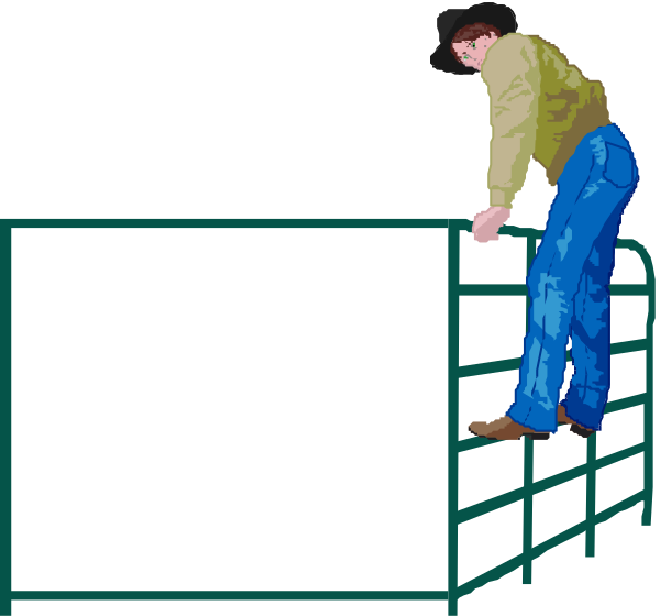 The image shows a cartoon of an animated cowboy on horseback jumping over a fence with his lasso outstretched to catch something in front of him.