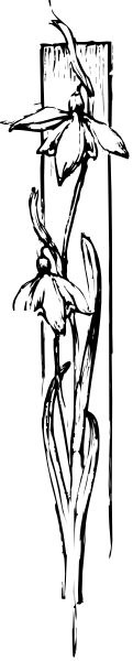 The image shows a black and white photo of an individual with their back to us standing next to what appears to be a wall on which there is another smaller picture inset that mirrors them from behind.