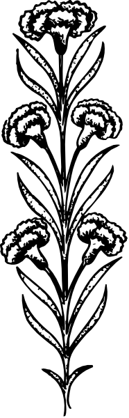 The black and white photo shows a plant with leaves on it against an indistinct background.