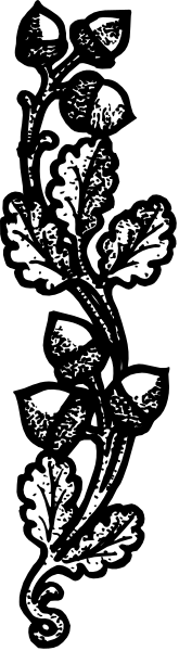 The black and white photo shows a decorative border with floral patterns on either side of it.