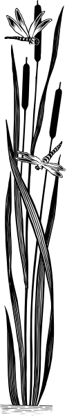 The image shows a black and white split photo of two different scenes: on top is an abstract pattern with vertical lines; below it appears to be a person standing in front of what looks like a window at night, illuminated by artificial light from inside.