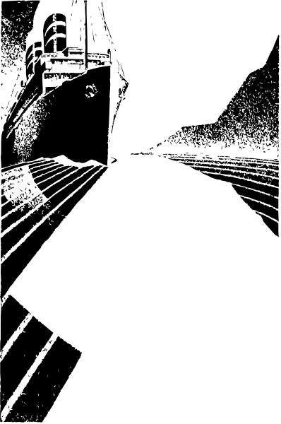 The image shows a black square with white speckles on it against an indistinct background that appears to be dark gray in color.