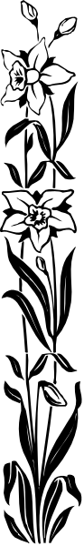 The black and white photo shows a person's face with closed eyes on top of another picture that appears to be an abstract pattern below it.