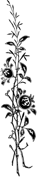 The image shows a black and white photo of an object with multiple parts that resemble musical instruments; it is divided into two sections by color contrasts in shades of gray and darker tones.