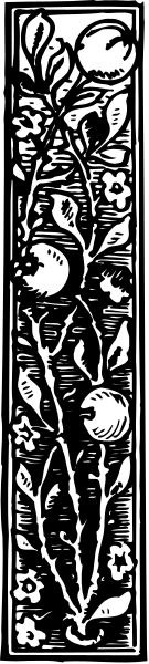 The image shows a decorative border with floral patterns on it against a plain background.