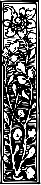 The image shows a decorative border with intricate patterns resembling leaves on either side of what appears to be an inscription that is partially obscured by another object; there's no text visible within this frame, and it seems like part of a larger piece or artwork due to the continuation beyond its borders.