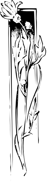 The image shows a black and white photo of an object with multiple parts that appear to be connected together forming some sort of structure or device.