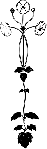 The image shows a black and white photo of an object with multiple parts that resemble eyes on either side at top, two arms in front extending outward from what appears to be shoulders, each hand holding something small but indistinctible due to resolution; there is no visible face or human features.