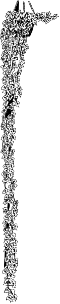 The image shows a black and white photo of two vertical columns with different patterns on them; to their right is an abstract design that resembles snowflakes against a dark background.