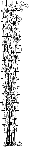 The black and white photo shows a long line of flowers with green leaves against a dark background on top half and bottom half is filled by small rectangles containing various shapes like circles, squares, triangles etc in different sizes arranged vertically downwards from left to right side.