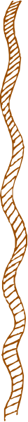 The image shows a closeup of two orange stripes with black edges on either side against a gray background.