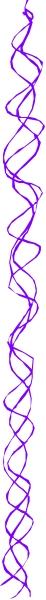 The image shows a gray background with two purple lines that curve upwards on either side of each other.
