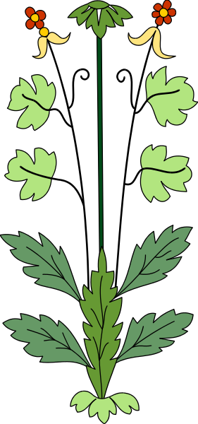 The image shows a decorative border with floral motifs on either side of what appears to be an emblem featuring leaves in between two vertical lines at the bottom center.