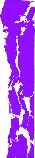 The image shows a purple stripe on an otherwise gray background with no other discernible content to provide details about.