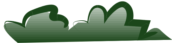 The image shows a green plant with white leaves on top of it against a gray background.