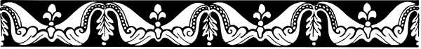 The image shows a black and white pattern with an intricate design that resembles stylized waves or abstract shapes along its length.