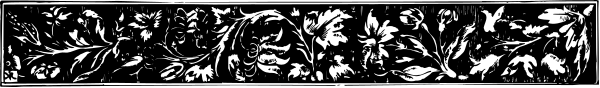 The image shows a black and white pattern with no distinguishable features to identify any particular object, person, animal, action, or setting.