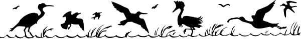 The image shows a blurry scene with text that reads "THE END" at the bottom of what appears to be an advertisement for something related to water sports or activities involving waves; however, due to its low resolution and lack of clarity in details, it is not possible to provide more specific information about objects, people, animals, actions, setting.