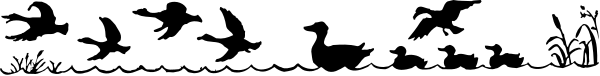 The image shows a black line with white text on it against an indistinct background.