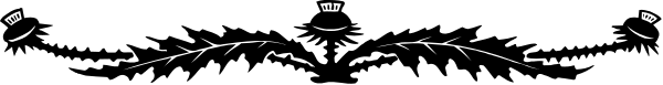 The image shows a black cat with white whiskers sitting on top of what appears to be an open book lying flat against a dark background.