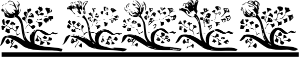 The image shows a gray background with black text that reads "THE END" at both ends of what appears to be an elongated object resembling a piece of paper or fabric being torn apart from left to right, creating two distinct sections on either side labeled as such by the wording above and below.