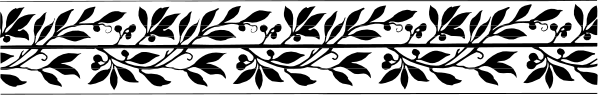 The image shows a black strip with two eyes peeking out from either end of it against an otherwise plain background.