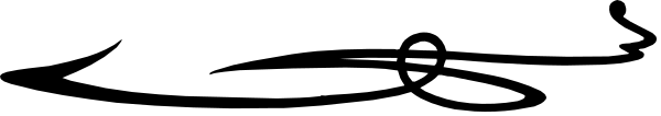 The image shows a blurry photograph of an airplane flying through clouds with its landing gear down against a gray sky background.