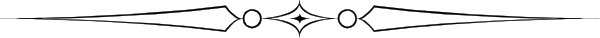The image shows a gray background with two black birds flying side by side over it.
