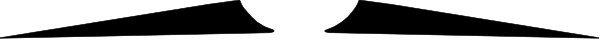The image shows a simple line drawing of two parallel lines with no additional details provided about any other elements present within it.