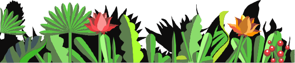 The image shows a colorful border of various plants with vibrant flowers at their tips against a gray background.