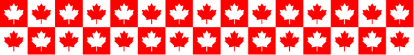 The image shows a red maple leaf pattern on black fabric with white borders.