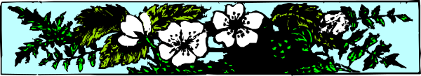 The image shows a floral border with white flowers on top of it against a blue background.