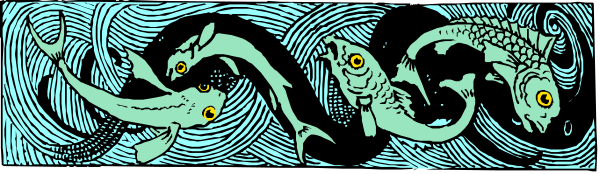 The image shows a blue banner with an abstract design featuring stylized fish swimming around each other against a dark background.