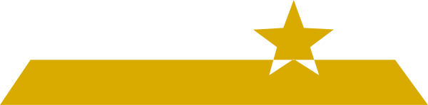 The image shows a flag with stars on it against an indistinct background.