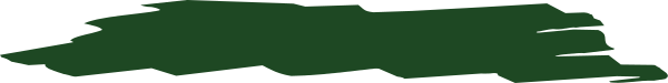 The image shows a gray background with an abstract representation of green land on the right side against a darker grey backdrop that could be interpreted as sky or water.