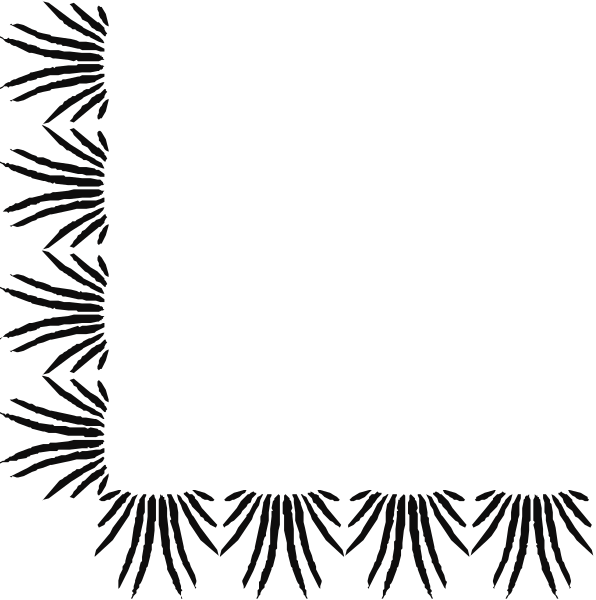 The image shows a black square with white borders on either side of it, creating an illusion that there is something inside when viewed from certain angles due to perspective distortion caused by light reflections off its surface.