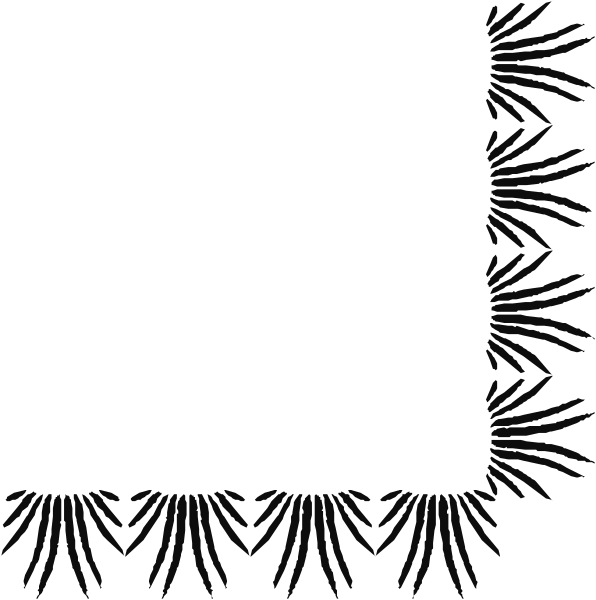 The image shows a black square with white fringe on two sides against an indistinct background that appears to be darker than the frame of the picture itself.